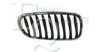 BMW 51137051957 Radiator Grille